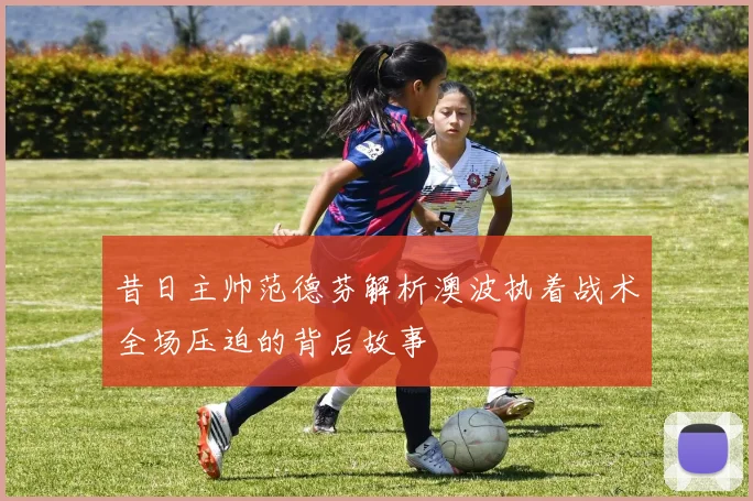 昔日主帅范德芬解析澳波执着战术全场压迫的背后故事