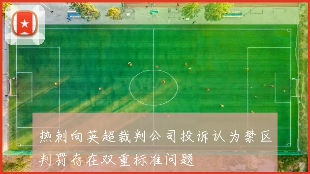 热刺向英超裁判公司投诉认为禁区判罚存在双重标准问题